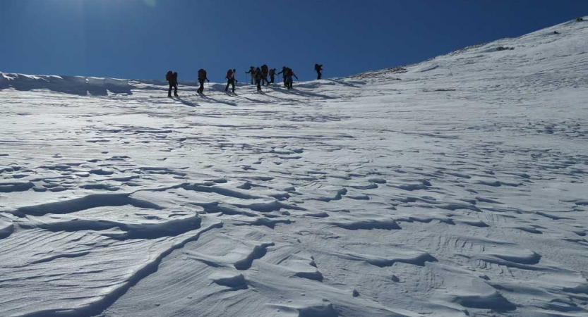 a group of veterans snowshoe across a snow covered landscape under a blue sky